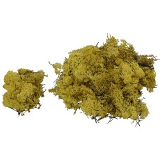 Lichen yellow-green 50 grams