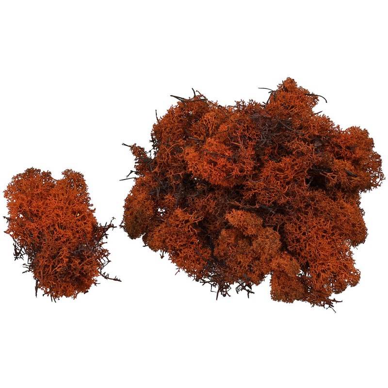Lichene marrone 150 gr Mondo Presepi