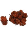 Lichene marrone 150 gr
