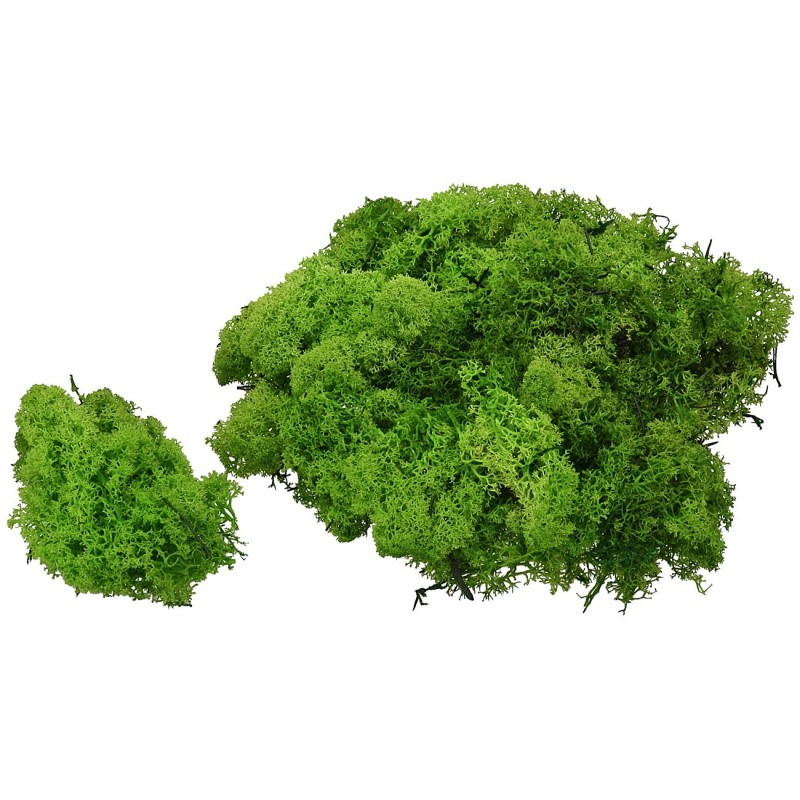 Lichene verde 150 gr -Presepe fai da te Mondo Presepi