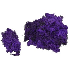 Lichene viola disponibile in buste da: disponibile, viola