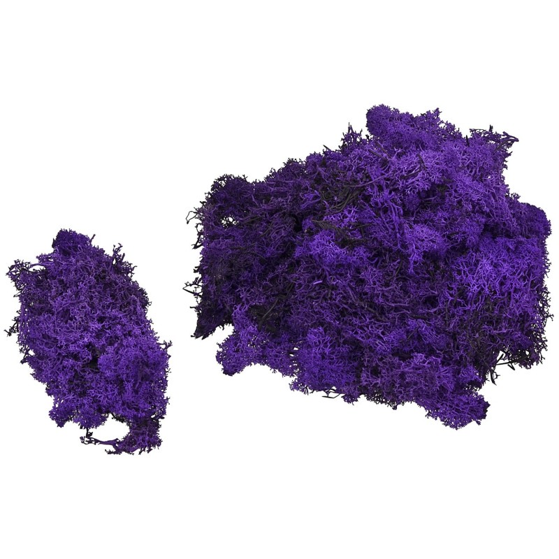 Lichene viola disponibile in buste da: Mondo Presepi