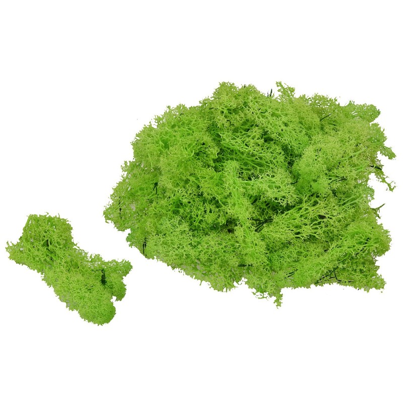 Lichene verde chiaro 1 Kg.