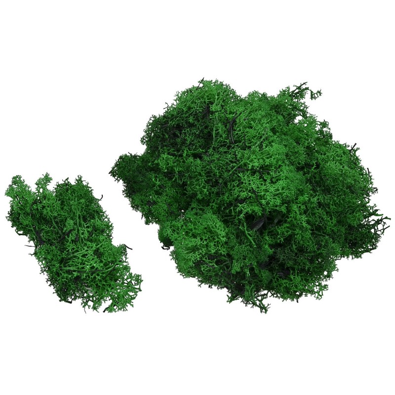 Lichene verde bosco 500 gr. Mondo Presepi