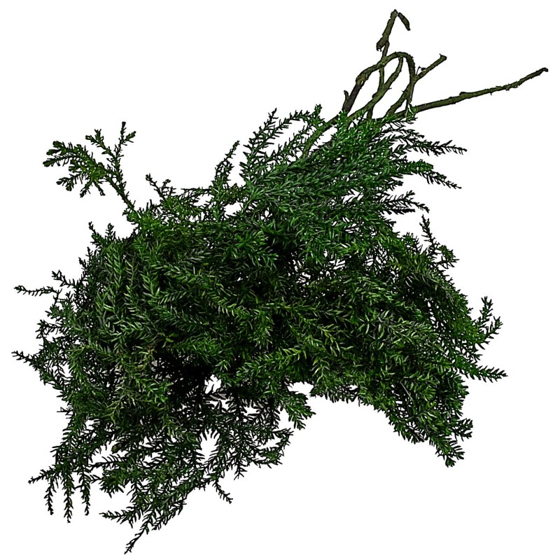 Lycopodium verde 25 gr Mondo Presepi