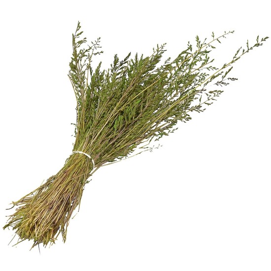 Erba cipressina 45 gr. hierba, cipresina, bolsa, gramos Mundo