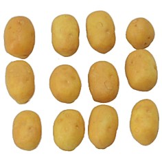 Set 12 patate novelle 0,5-10 mm