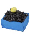 Cassetta pesce cozze cm 3x1,6x1,3 h.