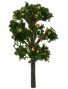 Pianta di arance senza base h 7 cm