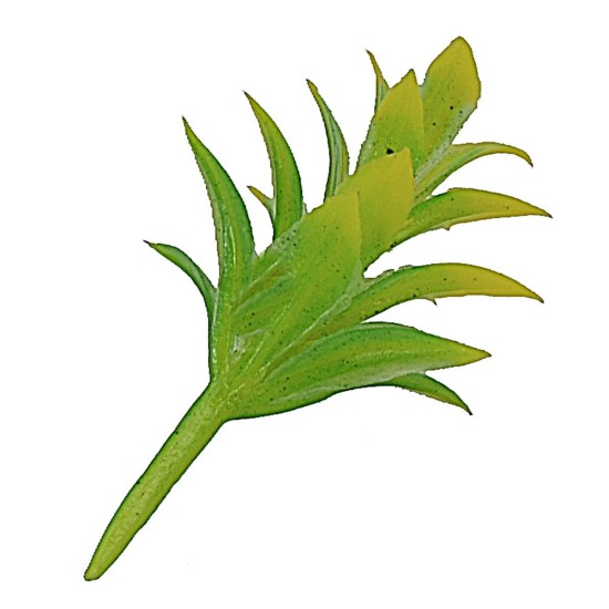 Cespuglio giallo-verde senza base h 3,5 cm