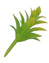 Cespuglio giallo-verde senza base h 3,5 cm