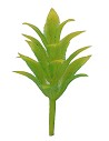 Conjunto de 4 arbustos amarillo-verdes sin base h 3,5 cm