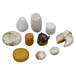 Set 10 formaggi assortiti