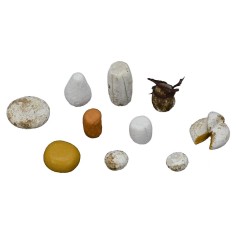 Confezione 10 formaggi assortiti 2