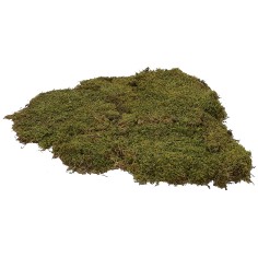 Muschio naturale a tappeto 90 gr.-presepe Mondo Presepi