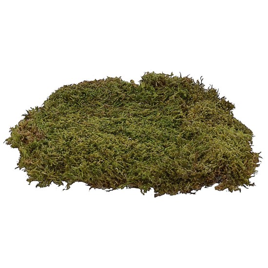 Muschio naturale a tappeto 90 gr.-presepe Mondo Presepi