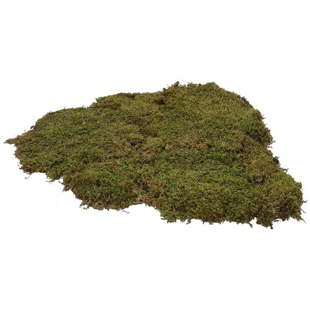 Musgo natural alfombra 500 gr. - pesebre Mondo Presepi