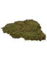 Musgo natural alfombra 500 gr. - pesebre Mondo Presepi
