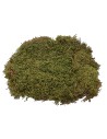 Musgo natural alfombra 500 gr. - pesebre Mondo Presepi