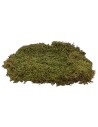 Musgo natural alfombra 500 gr. - pesebre Mondo Presepi