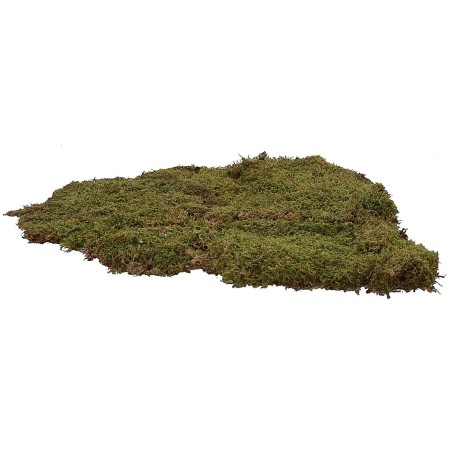 Muschio naturale a tappeto 1 kg - presepe Mondo Presepi