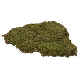 Musgo natural alfombra 1 kg - pesebre