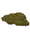 Muschio naturale a tappeto 1 kg - presepe Mondo Presepi