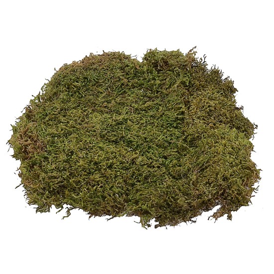 Muschio naturale a tappeto 1 kg - presepe