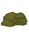 Muschio a tappeto 4 kg Mondo Presepi