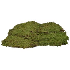 Moss carpet 4 kg 2