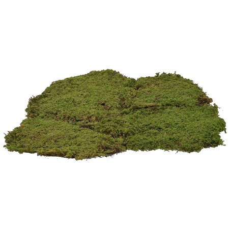 Moss carpet 4 kg
