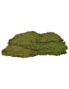 Musgo en alfombra 4 kg