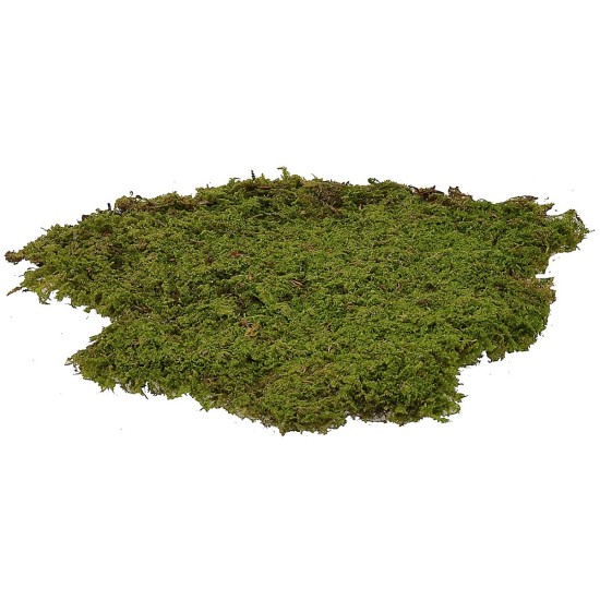 Moss carpet 4 kg