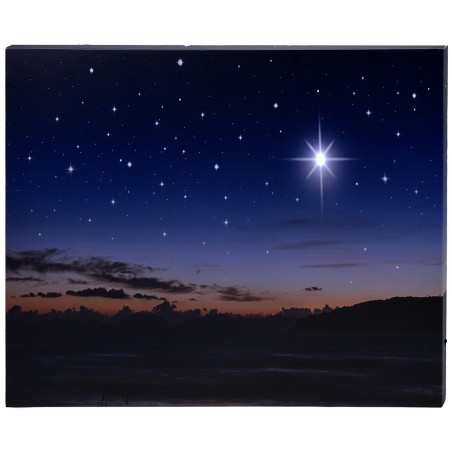 Starry sky with landscape at sunset and pole star with fiber