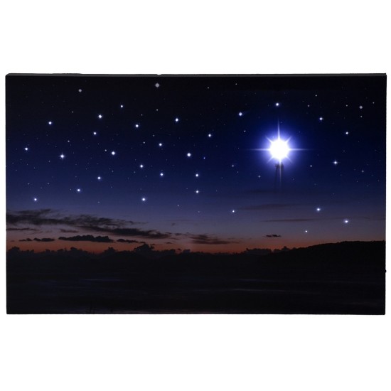 Starry sky with landscape at sunset and pole star with fiber
