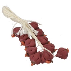 Ceppo di aglio rosso 2