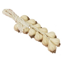 Ceppo di aglio bianco 2