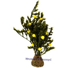 12 cm tree with lemons