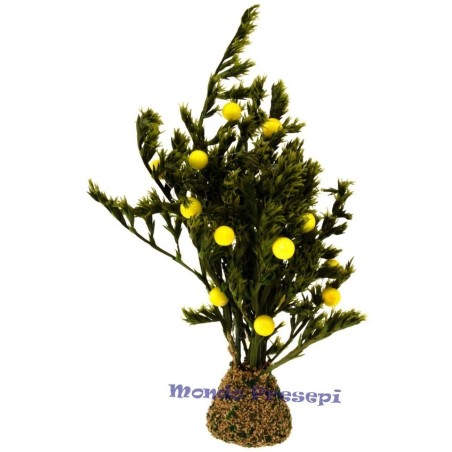 12 cm tree with lemons