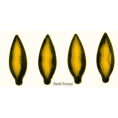 Set of 4 corn cobs cm 2