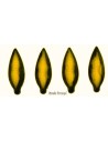Set of 4 corn cobs cm 2