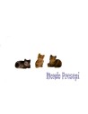 Set of 3 assorted cats cm 2- 2.5 in resin