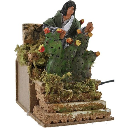 Farmer cutting figs on the go