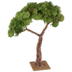 Albero con chioma e base cm 8x8x31 h 2