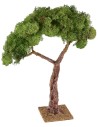 Albero con chioma e base cm 8x8x31 h