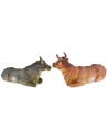 Ox and donkey in resin recommended for 30 cm statues