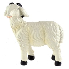 Montone con striature gialle per statue 20-24 cm