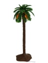 Palm 10 cm