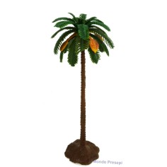 Palm 18 cm