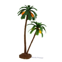 Double palm 18-12 cm